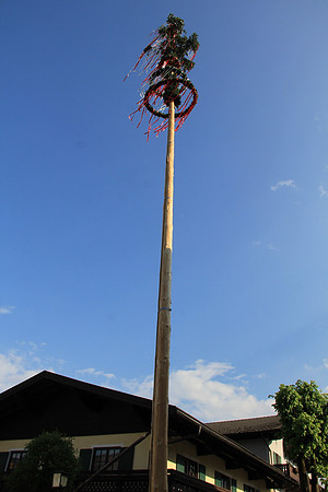 01.05.2014 Maibaumaufstellen Bad Vigaun