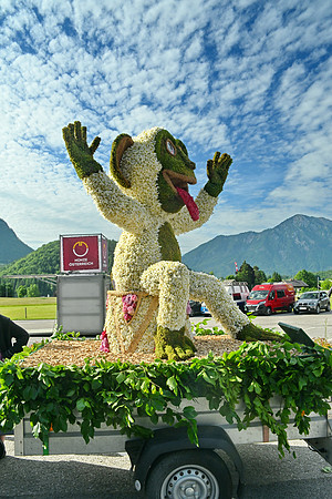 Bootskorso in Altaussee