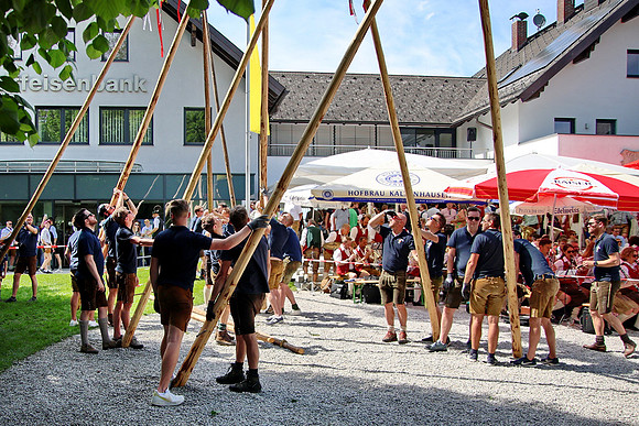 Maibaumaufstellen Anif