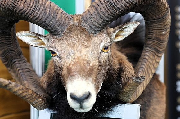 Hohe Jagd & Fischerei