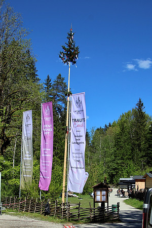 Maibaumaufstellen beim Latschenwirt