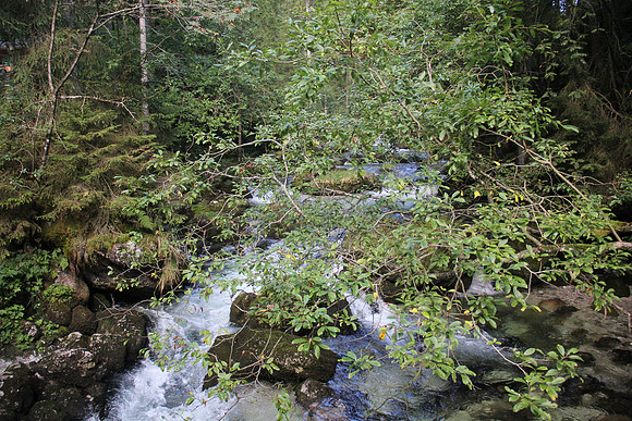 Natur in Torren