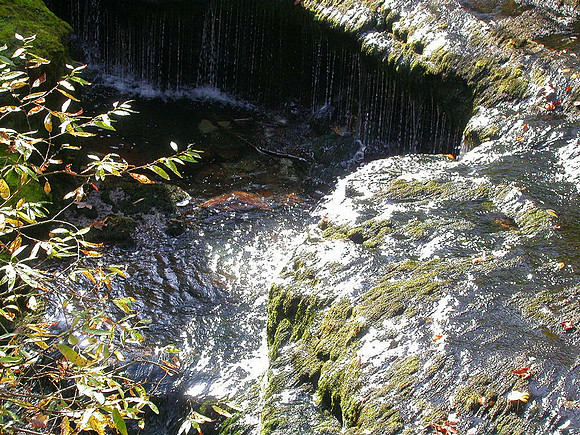 Gollinger Wasserfall