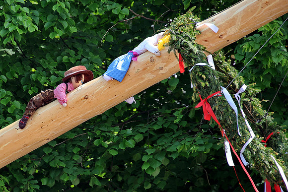 Maibaumaufstellen Anif