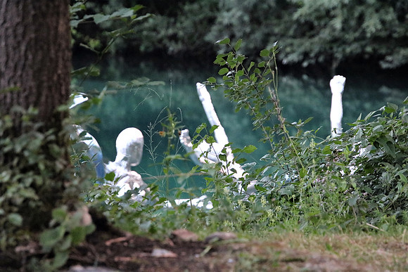 AQUARIA im Waldbad Anif