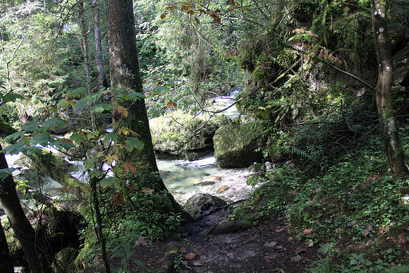 Natur in Torren
