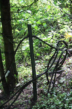 Natur in Torren