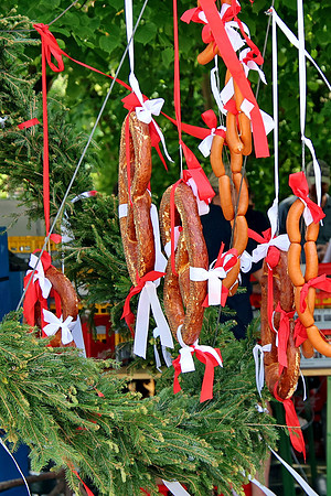 Maibaumaufstellen Anif