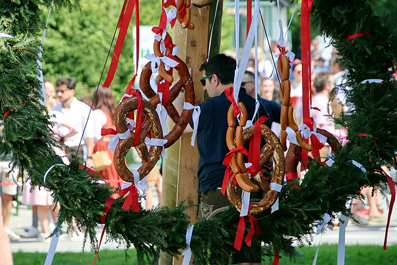 Maibaumaufstellen Anif
