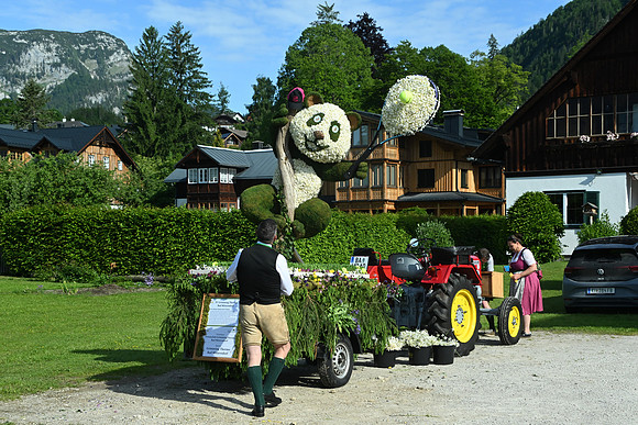 Bootskorso in Altaussee