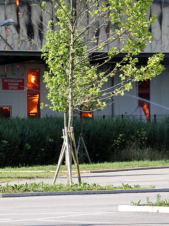 Großbrand bei Emco Hallein