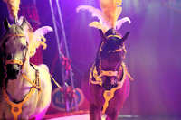 Circus Alex Kaiser