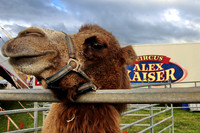 Circus Alex Kaiser