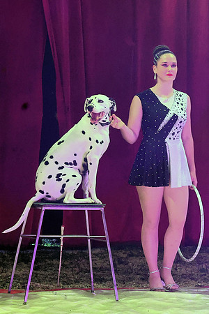 Circus Alex Kaiser