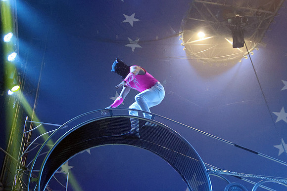 Circus Alex Kaiser