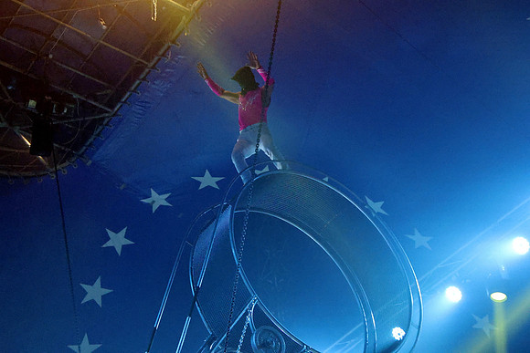 Circus Alex Kaiser