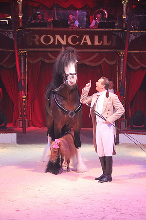 Zirkus Roncalli in Salzburg