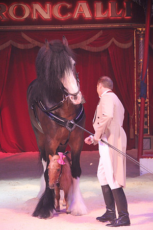 Zirkus Roncalli in Salzburg