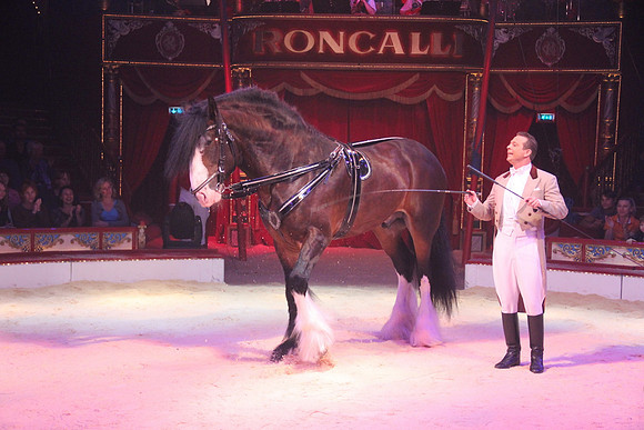 Zirkus Roncalli in Salzburg