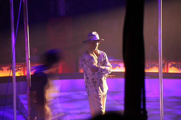 Zirkus Roncalli in Salzburg