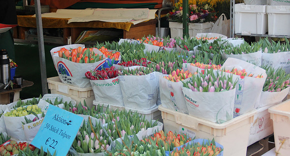 Salzburger Schrannenmarkt