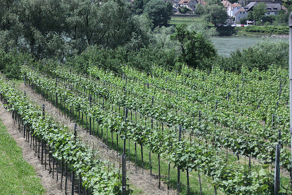 04.06.2015 Etappe 6: Amstetten → Krems