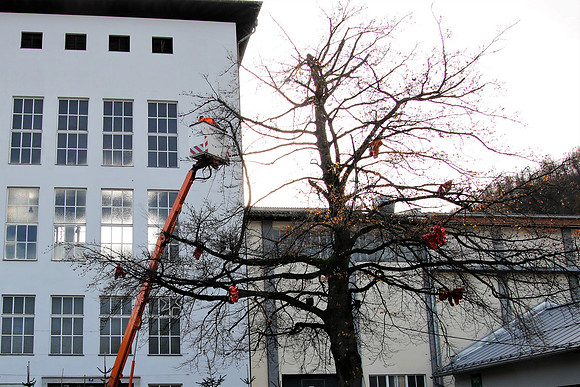 Aufbauarbeiten Halleiner Weihnachtsmarkt
