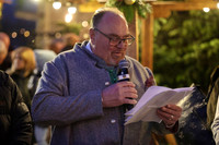 Halleiner Weihnachtsmarkt 2025