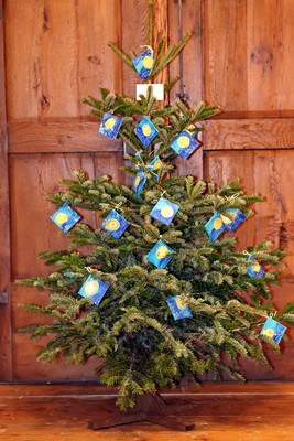 Halleiner Weihnachtsmarkt 2025