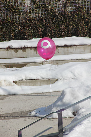Pink Panther Rif