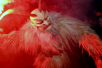 Plainfelder Krampus- und Perchtenlauf