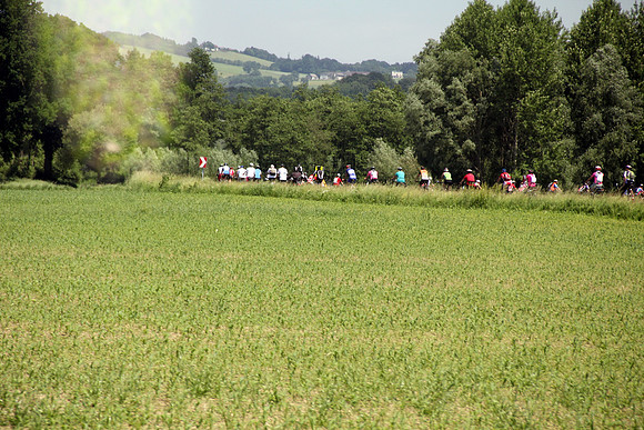 03.06.2015 Etappe 5: Wallsee → Amstetten