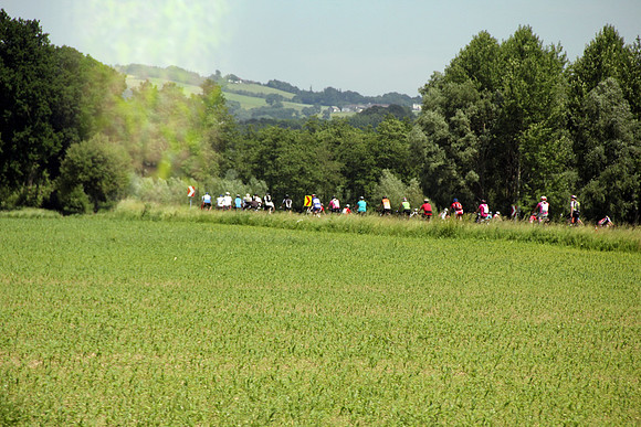 03.06.2015 Etappe 5: Wallsee → Amstetten