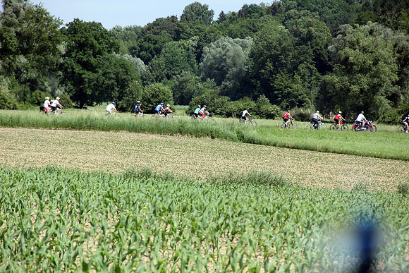 03.06.2015 Etappe 5: Wallsee → Amstetten