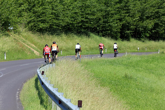 03.06.2015 Etappe 5: Wallsee → Amstetten