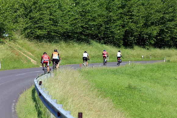 03.06.2015 Etappe 5: Wallsee → Amstetten