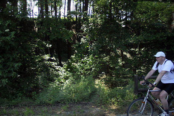 03.06.2015 Etappe 5: Wallsee → Amstetten