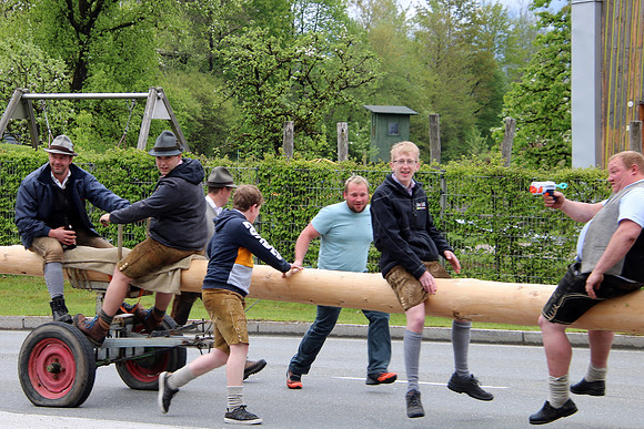 Maibaum Bad Vigaun 2022