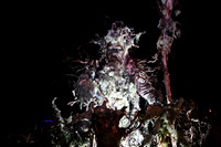 St. Leonharder Krampusse