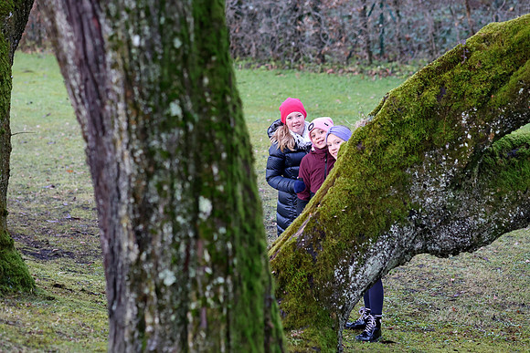 Turmblasen auf Schloss Anif