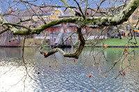 Turmblasen auf Schloss Anif