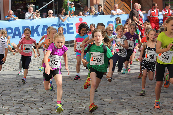 20. Salzkristall-Lauf Hallein