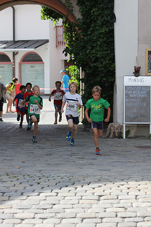 20. Salzkristall-Lauf Hallein
