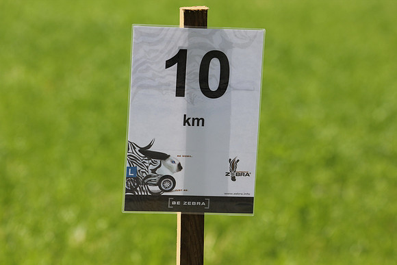 20. Salzkristall-Lauf Hallein