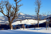 Impressionen Rund um den Gaisberg