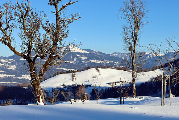 Impressionen Rund um den Gaisberg
