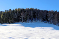 Impressionen Rund um den Gaisberg