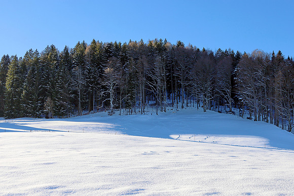 Impressionen Rund um den Gaisberg