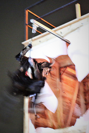 Niederalmer Krampuslauf 2022