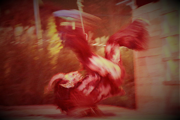 Niederalmer Krampuslauf 2022